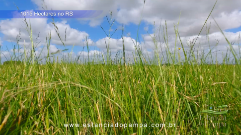 1015 HA no RS MARINETI.00_00_35_03.Quadro011_0e613bd0606fc69b32acfc7ea91d90f9164815f5.png